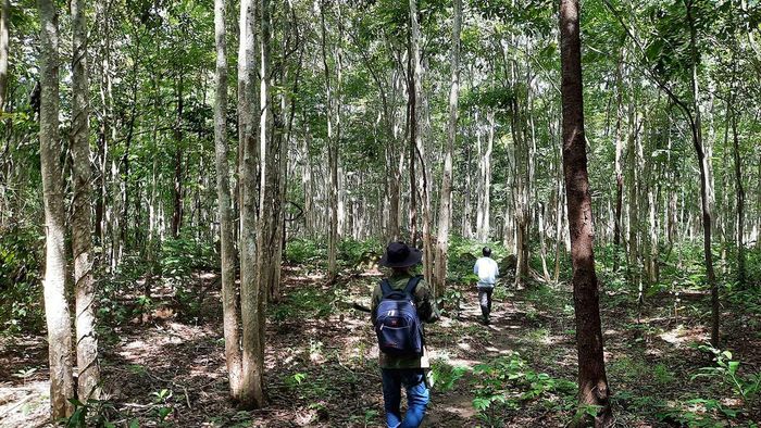 Hành trình trekking VQG Chư Mom Ray - Khám phá núi rừng đại ngàn 3