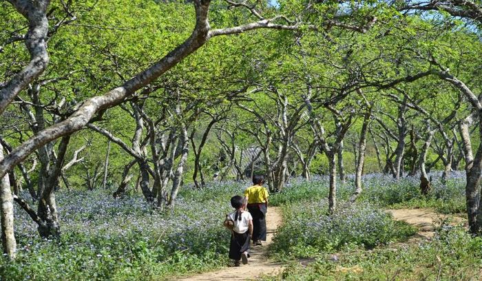 Trekking Mu Náu - Phiêng Cành trên đỉnh Mộc Châu 6