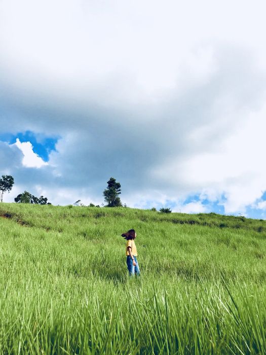 Khi trekking Măng Đen, đừng quên ghé thăm đồi cỏ gần thác Pa Sỹ. Đoạn đường tới đồi cỏ khá gập ghềnh nhưng đây sẽ là một trải nghiệm trekking tuyệt vời. Tại đây, bạn sẽ bị mê hoặc bởi vẻ đẹp tự nhiên của cánh đồng cỏ xanh mướt giữa vùng trời Tây Nguyên bình lặng. Đây là nơi của sự bình yên và thư thái giữa thiên nhiên và cây cỏ.