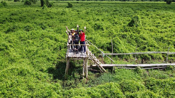 Rừng quốc gia U Minh Thượng và những điều chưa ai kể với bạn 8