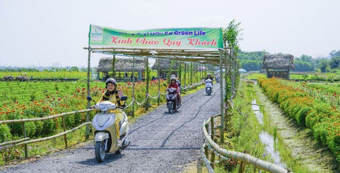 Trải nghiệm một ngày yên bình tại nông trại GREEN LIFE 4