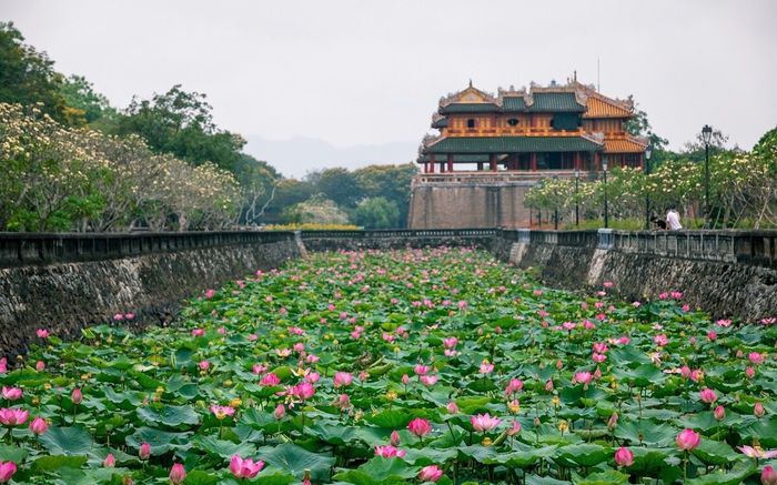 Đừng quên mang theo túi ba lớp khi đến Hồ Tịnh Tâm để lưu giữ hàng loạt bức ảnh tuyệt vời trong lòng thành phố Huế.