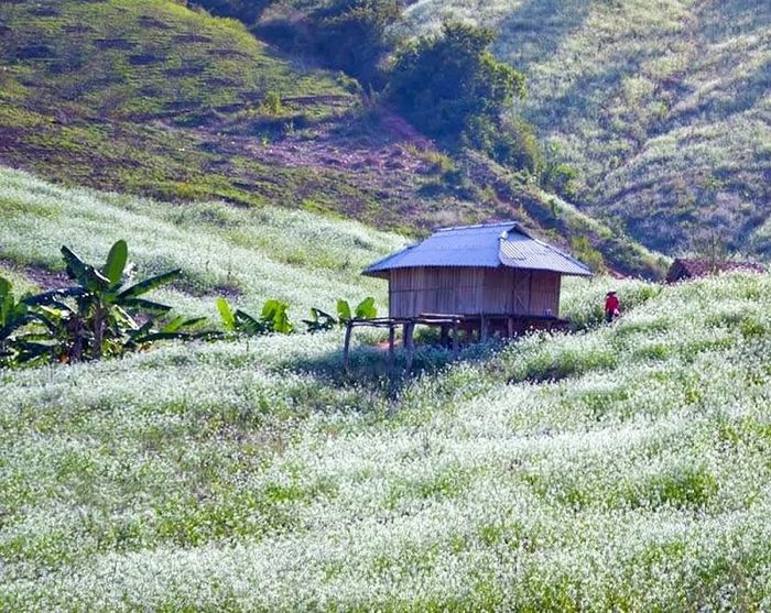 Top 20 điểm du lịch Sơn La được ưa chuộng nhất trong khu vực 9