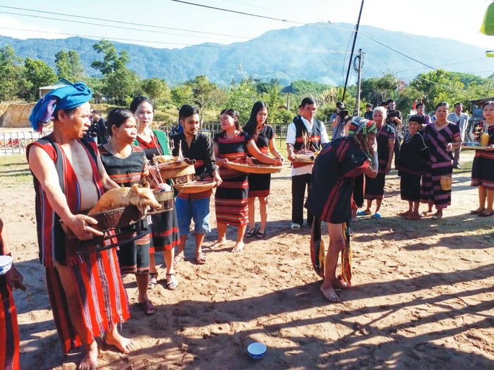 Lễ hội Tết A Za - Lễ hội Đón năm mới của cộng đồng người Pa Cô ở Thừa Thiên - Huế 3