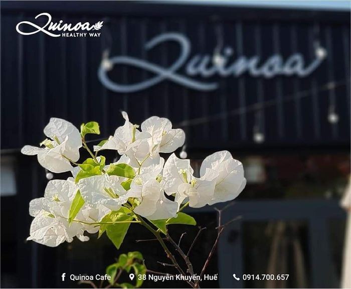 Nếu không thể đi du lịch nước ngoài, hãy ghé Quinoa Café để có bức ảnh check-in giống như ở châu Âu lần 2