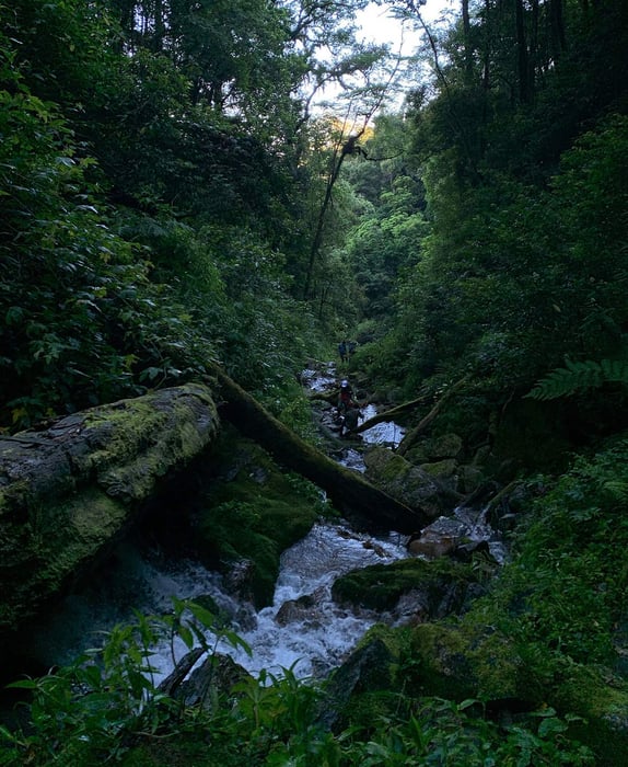 Hành trình trekking núi Ngọc Linh, chinh phục đỉnh cao Tây Nguyên 8