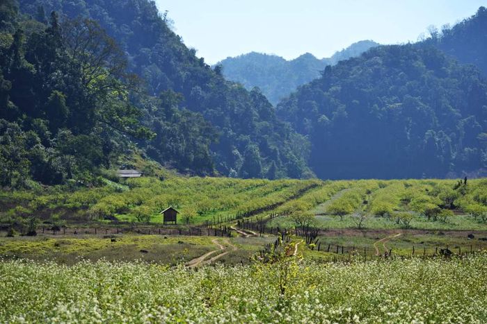 Trekking Mu Náu - Phiêng Cành trên đỉnh Mộc Châu 7