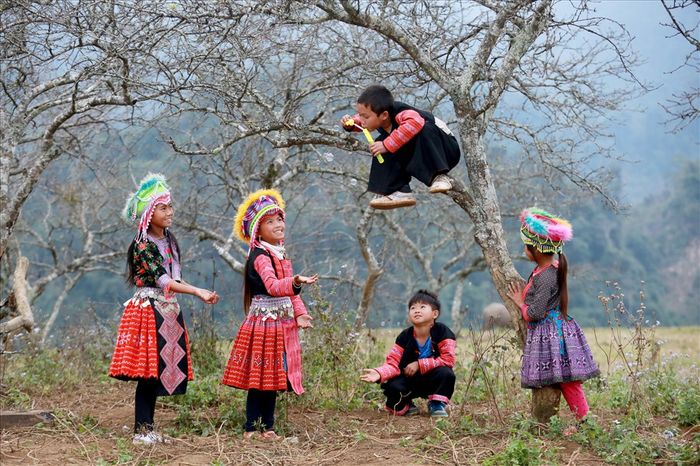 Hãy bỏ qua những lo toan và trải nghiệm sự bình yên tuyệt vời tại Hua Tạt.