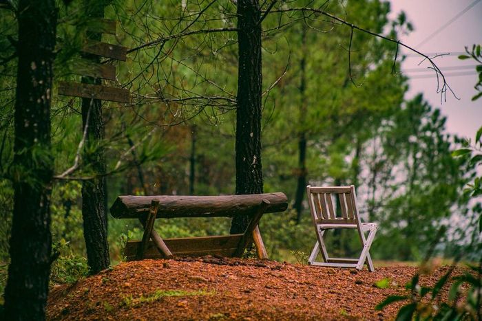 Gợi ý lịch trình Huế tự túc 3 ngày 3 đêm: Tiết kiệm và trải nghiệm đầy thú vị