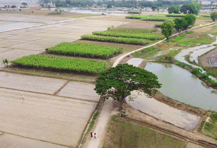 Làng Hà Cảng - Nơi mang đến cho bạn cảm giác yên bình với vẻ đẹp mộc mạc của vùng quê, khiến trái tim nao lòng.