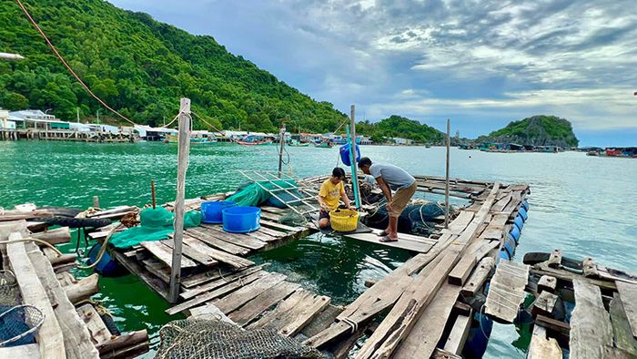 Đảo Hòn Nghệ, một viên ngọc thô tuyệt đẹp ẩn mình trong lòng biển Kiên Giang.