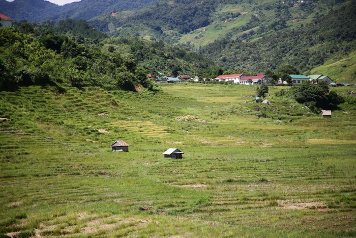 Ngắm Ruộng bậc thang Ngọc Linh đẹp mê hồn trên cao nguyên hùng vĩ 5