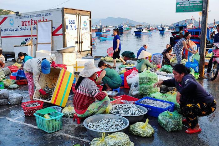 Khám phá Bình Ba trong một ngày sẽ là trải nghiệm tuyệt vời