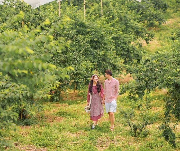 Đánh giá mùa mận hậu Mộc Châu cùng cô gái xinh đẹp Duyên Cao 3