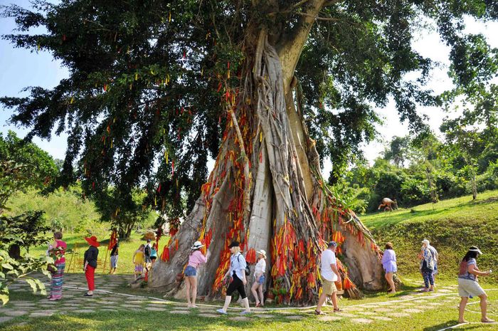 Khám phá Nha Trang với danh sách 10 điểm đến không thể bỏ qua 18