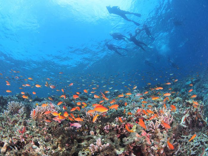 Khám phá đảo Okinawa, chinh phục viên ngọc quý ngoài khơi Nhật Bản 13