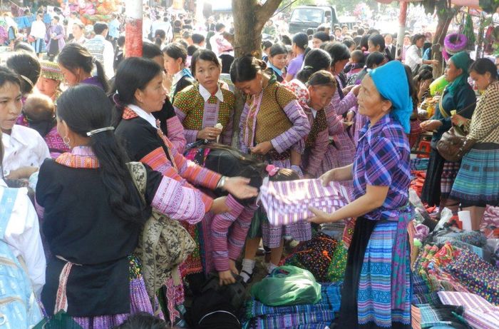 Tổng hợp kinh nghiệm tham gia Chợ Tình Mộc Châu Sơn La từ A đến Z