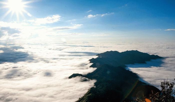 Hướng dẫn chi tiết Kinh nghiệm săn mây trên đỉnh Pha Luông