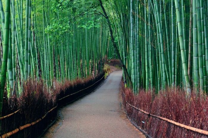 Arashiyama - nơi tập trung những viên ngọc tự nhiên tại Kyoto 2