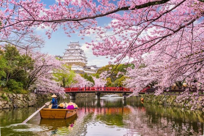 Lễ hội ở Nhật Bản đa dạng màu sắc tái hiện văn hóa bản địa 3