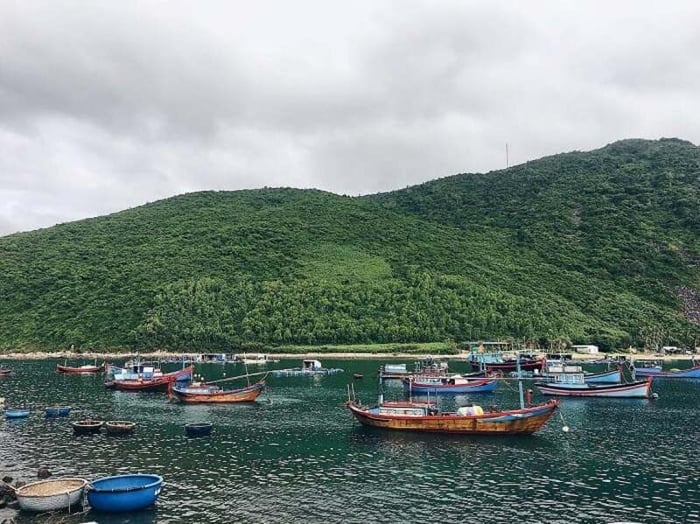 Lạc vào Thủy cung Trí Nguyên Nha Trang thu nhỏ giữa thành phố biển 11