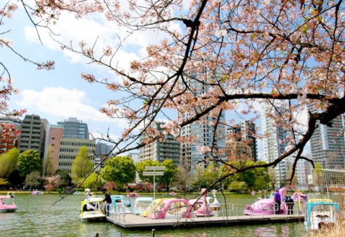 Khám phá công viên Ueno: điểm đến lâu đời nhất tại Tokyo 9