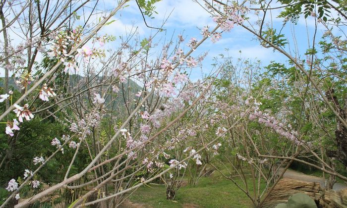 Waterland Thạch Lâm - điểm vui chơi đa sắc màu tại thành phố biển Nha Trang.