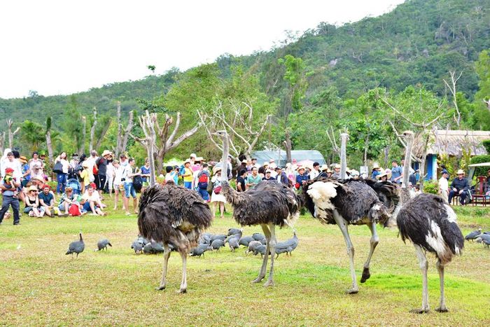 Lạc lối ở Vịnh Nha Phu - Thiên đường nhiệt đới giữa lòng biển cả bao la 21