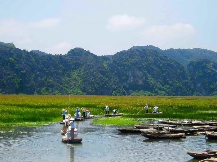 Khám phá làng nổi Kênh Gà - Tận hưởng khung cảnh sông nước yên bình