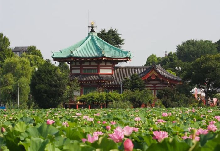 Khám phá công viên Ueno: điểm đến lâu đời nhất tại Tokyo 5