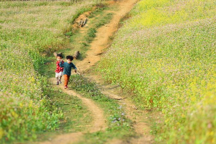 Đánh giá mùa hoa cải ở Lóng Luông - cảnh đẹp tựa tranh vẽ giữa thiên nhiên Mộc Châu 4