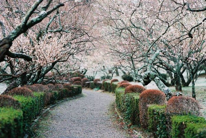 Kanagawa là điểm giao thoa hoàn hảo giữa thiên nhiên và đô thị của Nhật Bản.