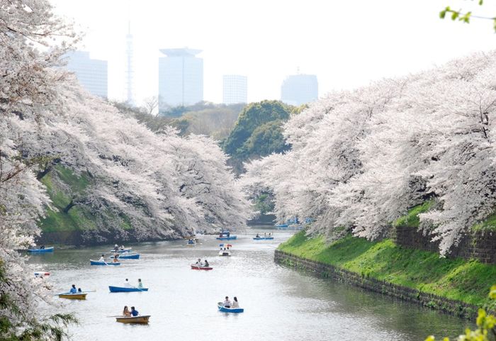 Khám phá công viên Ueno: điểm đến lịch sử của Tokyo 2