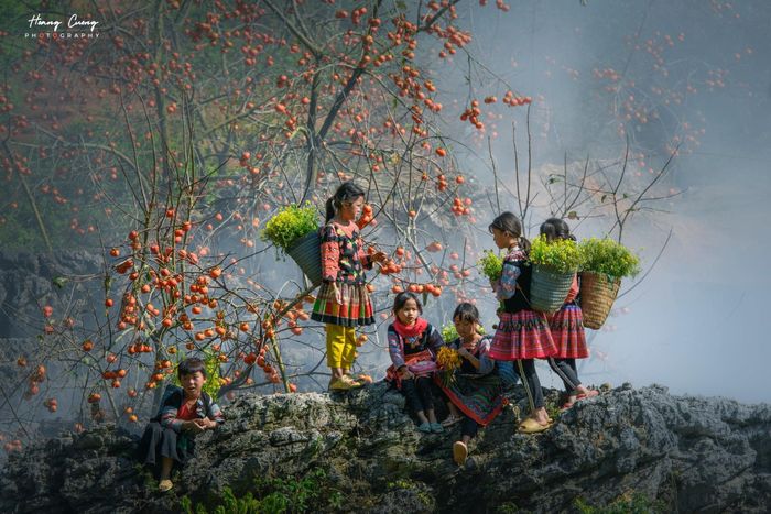 Đánh giá Mộc Châu vào tháng 12, tại sao không nhỉ? 8