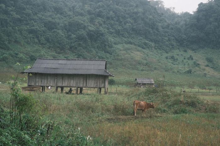 Đánh giá chi tiết chuyến đi Mộc Châu 2N2Đ mà bạn nên lưu giữ 9