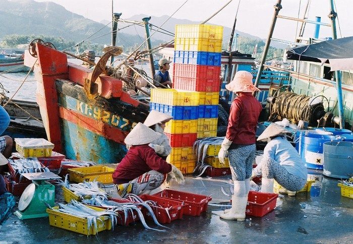 Tất tần tật kinh nghiệm mua hải sản Nha Trang không lo sợ bị lừa dối 7