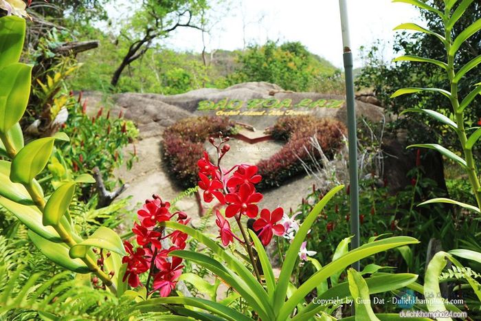 Lạc lối ở Vịnh Nha Phu - Thiên đường nhiệt đới giữa biển cả bao la 19