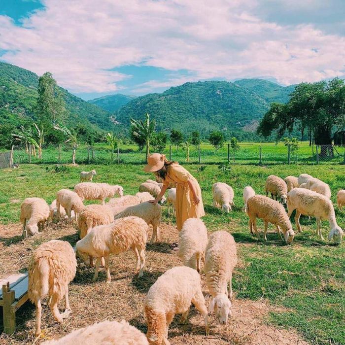 Khám phá Nha Trang - Những trải nghiệm độc đáo không thể bỏ qua 8