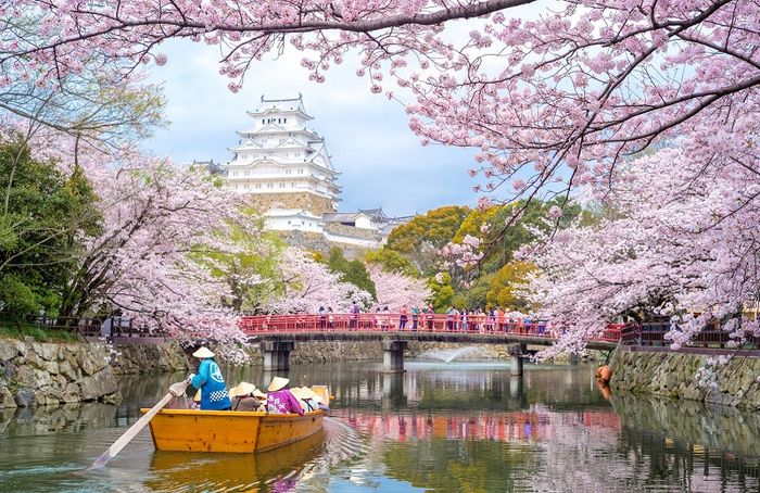 Cảng thương mại Hyogo là nơi giao thoa văn hóa Đông và Tây, là điểm hội tụ của ba vùng