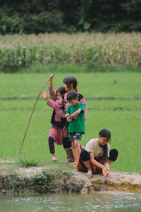 Bình yên rộn ràng trên Bản làng Mộc Châu dưới ánh nắng sớm trên vùng cao 8