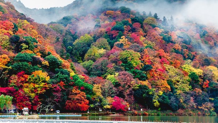 Arashiyama - nơi hội tụ của những viên ngọc tự nhiên tại Kyoto 3