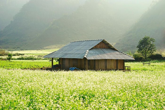 Trải nghiệm khám phá bản Thung Cuông tự do độc đáo nhất hiện nay