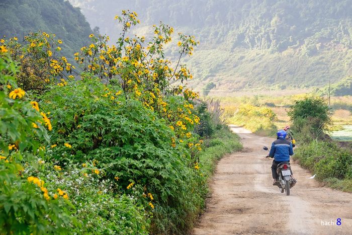 Đừng bỏ lỡ cơ hội tìm hiểu về Kinh nghiệm du lịch Mộc Châu tự túc suốt 12 tháng tại team Mytour.vn!