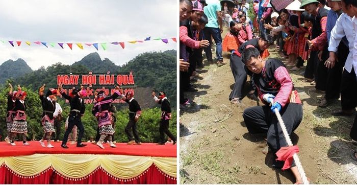 Ngày hội hái quả Mộc Châu là sự kiện sôi động và rộn ràng nhất trong năm.