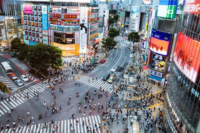 Khi ánh đèn chưa từng tắt tại Shibuya 8