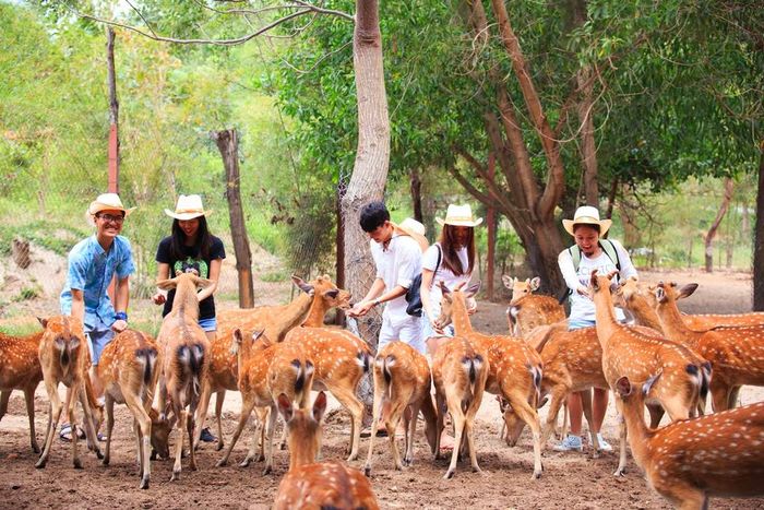 Kế hoạch khám phá Đảo Khỉ - Suối Hoa Lan trong một ngày duy nhất 9