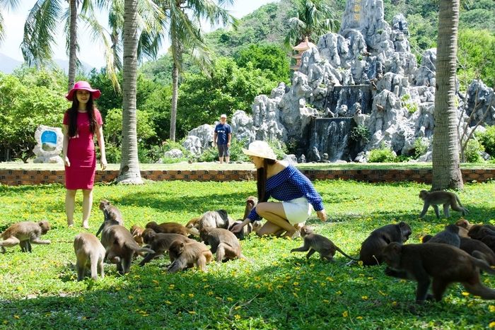 Lạc lối ở Vịnh Nha Phu - Thiên đường nhiệt đới giữa lòng biển cả 8