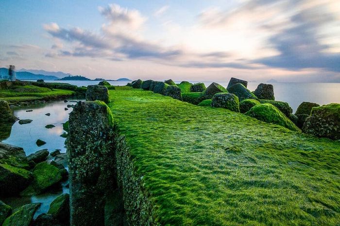 Bãi rêu Nha Trang - Khám phá vẻ đẹp quyến rũ của thiên nhiên 10