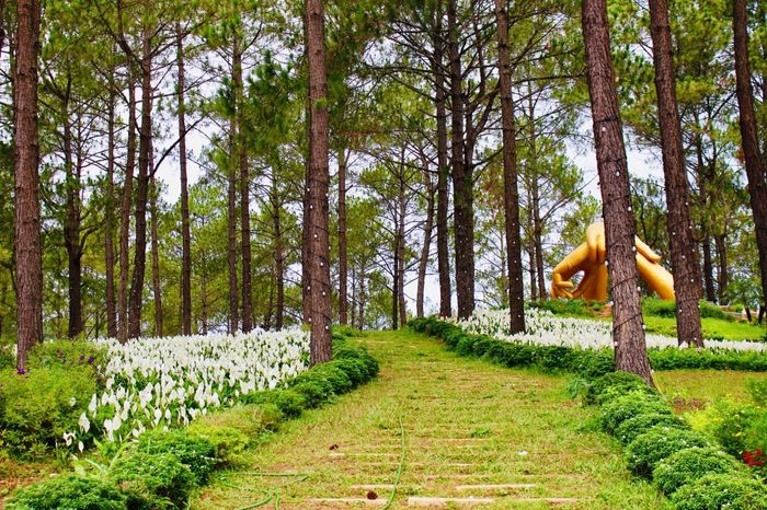 Chùa Long Sơn Nha Trang - Làm cho bạn ngạc nhiên bởi vẻ đẹp của tượng Phật trắng lớn nhất Việt Nam 4