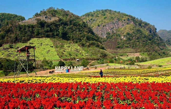 Gợi ý lịch trình Mộc Châu 2 ngày 2 đêm tự túc với những địa điểm hấp dẫn